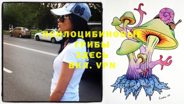 таблы Сосновка